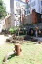 Laboratoire Botanique en Floraferrie 2 * 5184 x 3456 * (10.47MB)